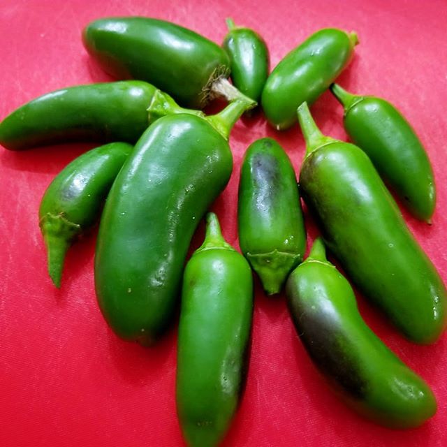 Coolapeño Peppers